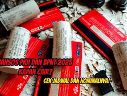 Warga Auto Happy! Bantuan PKH Tahap I 2025 Resmi Cair, Langsung 3 Bulan Sekaligus!