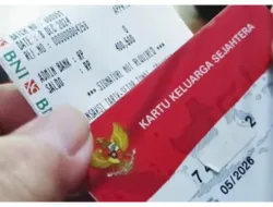 BPNT Tahap 1 2025 Cair Rp400.000! Cek NIK KTP Kamu Sekarang, Jangan Sampai Ketinggalan!