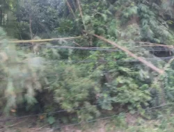 Keselamatan Warga Terancam, Jaringan Kabel Liar Harus Dibersihkan, Desakan Fakta Garut Menguat