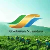 Holding Perkebunan Nusantara Dorong Produk Bernilai Tinggi, Teh Malabar PTPN I Tembus Pasar Premium