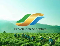 Holding Perkebunan Nusantara Dorong Produk Bernilai Tinggi, Teh Malabar PTPN I Tembus Pasar Premium