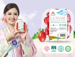 Stevia: Pemanis Masa Depan yang Sedang Diadopsi Produk Premium